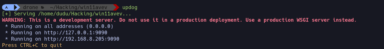 figure 10: Development server updog